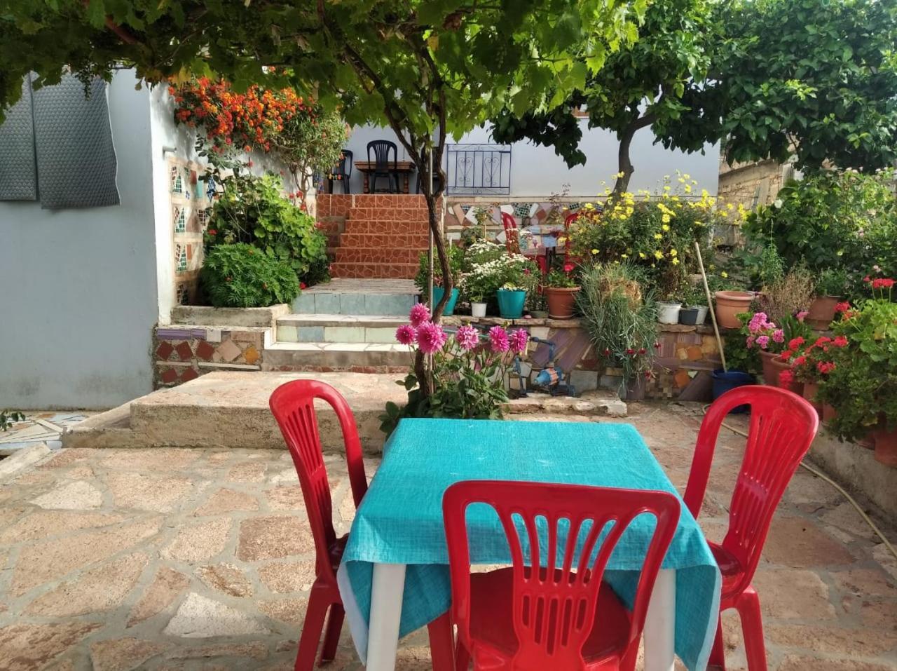 Hako Apartments Sarandë 외부 사진